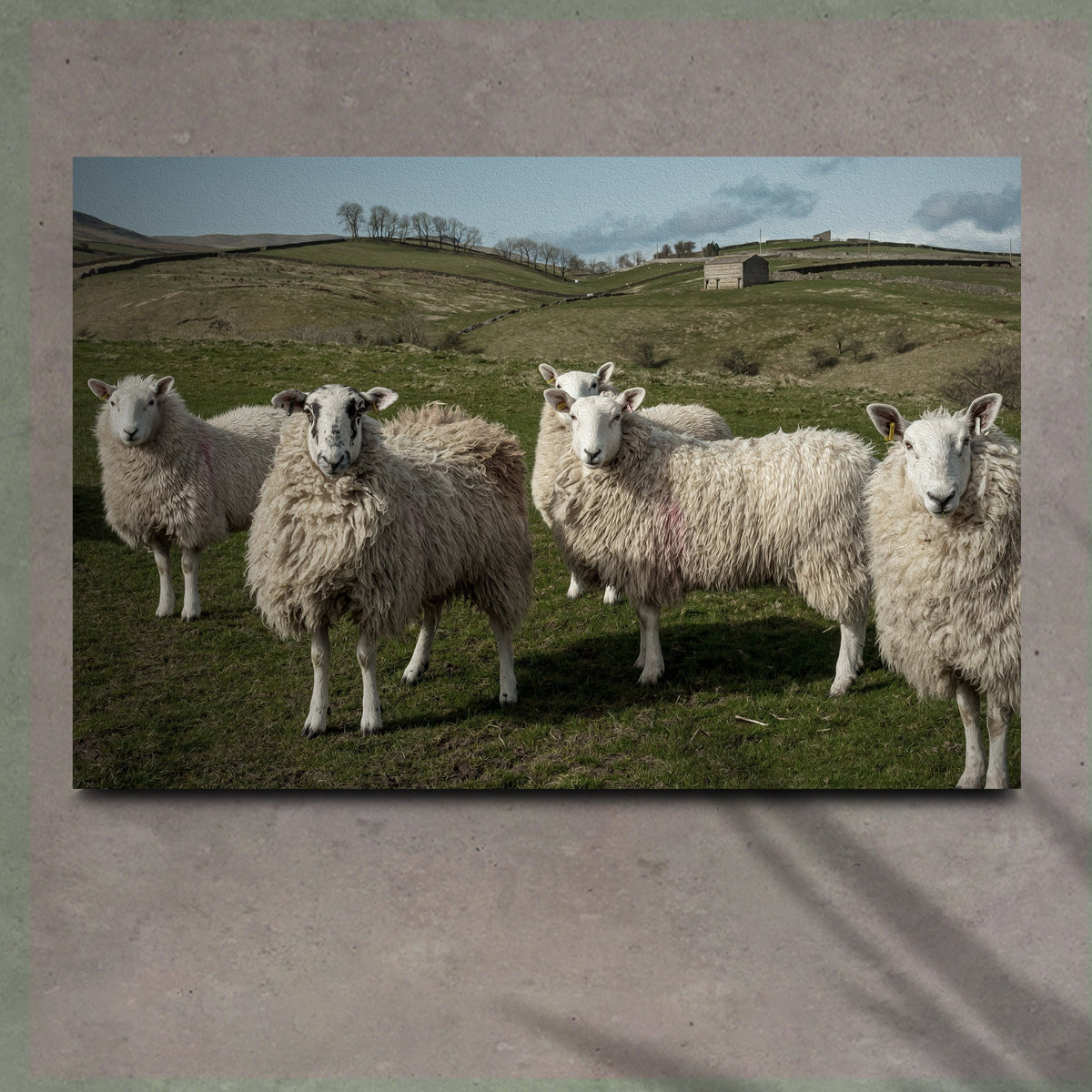 Flock Of Sheep Canvas Wall Art
