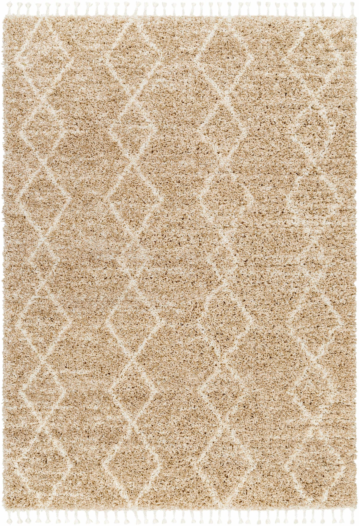 Ishan Area Rug - Clearance